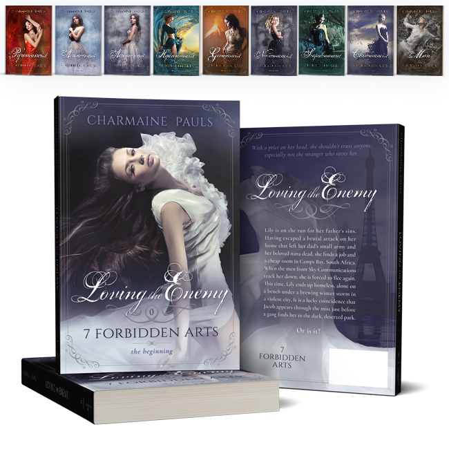 series branding design by Los Angeles graphic designer Mich Fisher  - expanding a premade book cover into a series